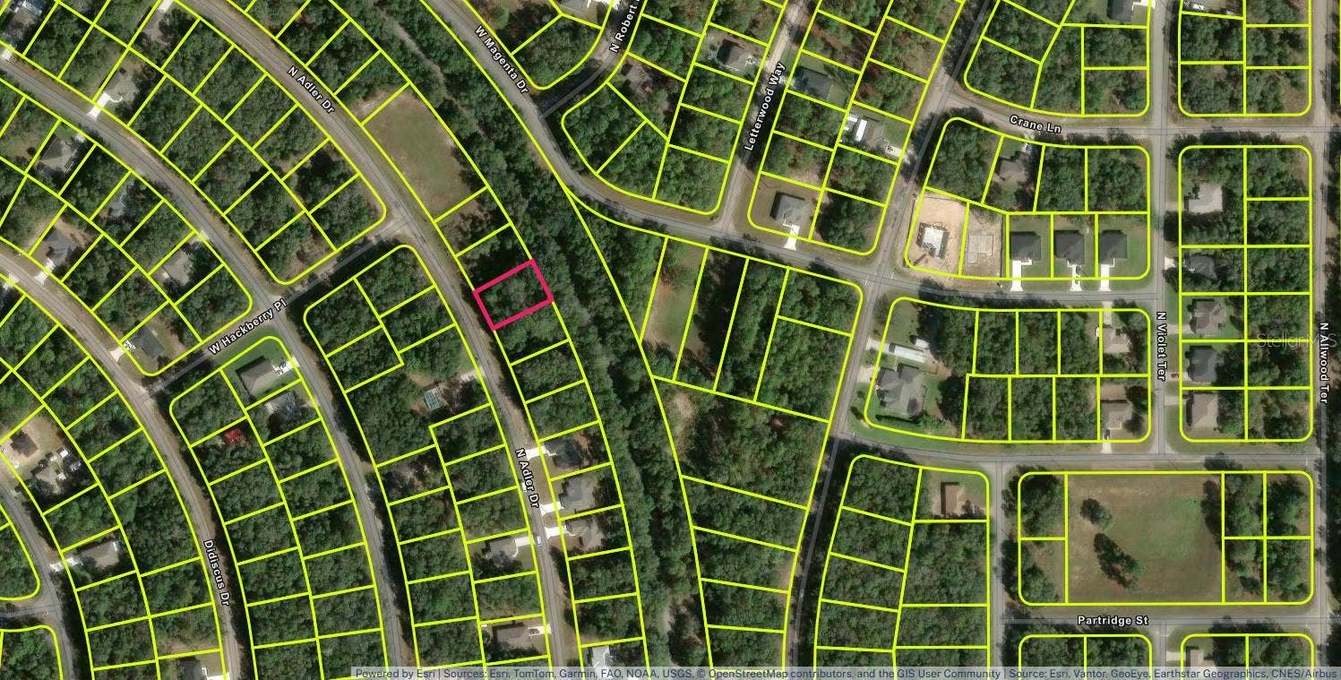 10735 N ADLER DRIVE, Citrus Springs, FL 34434 10735 N ADLER DRIVE, Citrus Springs, FL 34434