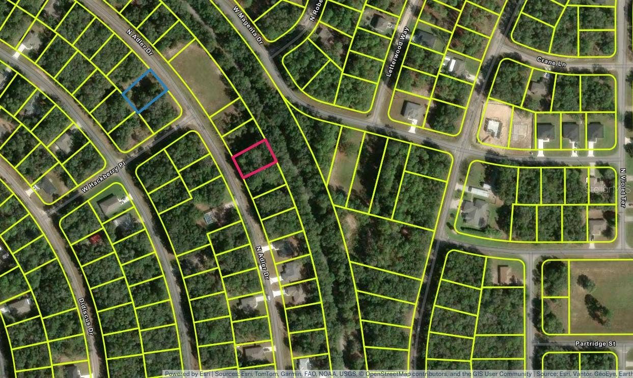 10735 N ADLER DRIVE, Citrus Springs, FL 34434 10735 N ADLER DRIVE, Citrus Springs, FL 34434