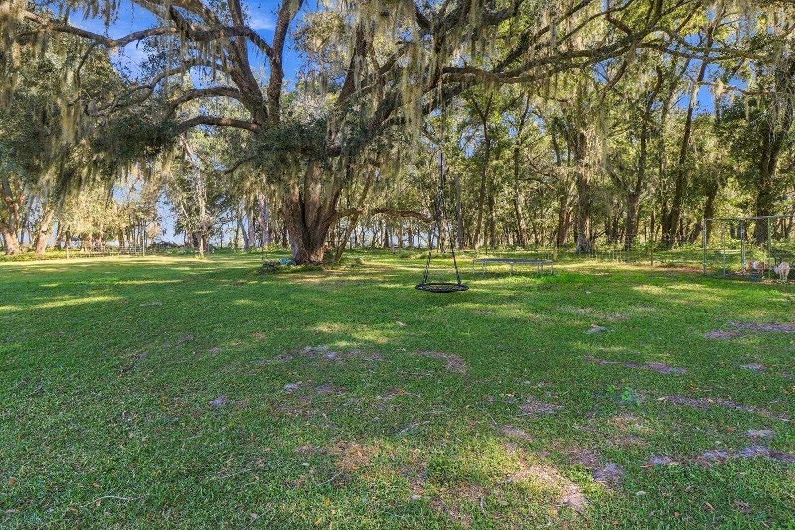 6420 CR 569, Center Hill, FL 33514 6420 CR 569, Center Hill, FL 33514