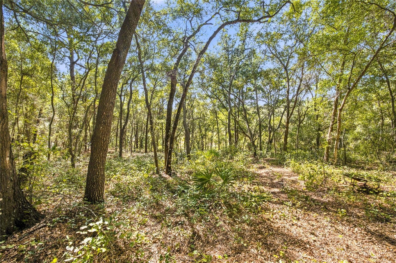 TBD SE 160 COURT ROAD, Ocklawaha, FL 32179 TBD SE 160 COURT ROAD, Ocklawaha, FL 32179