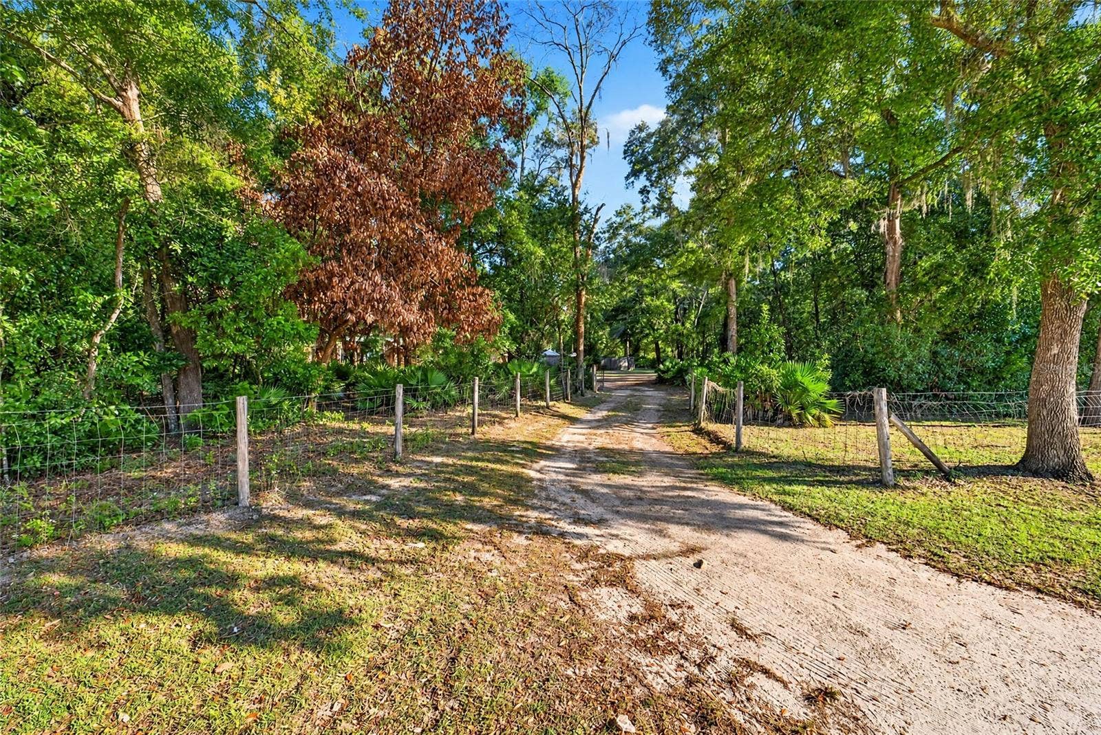 3495 NE 132ND PLACE, Anthony, FL 32617