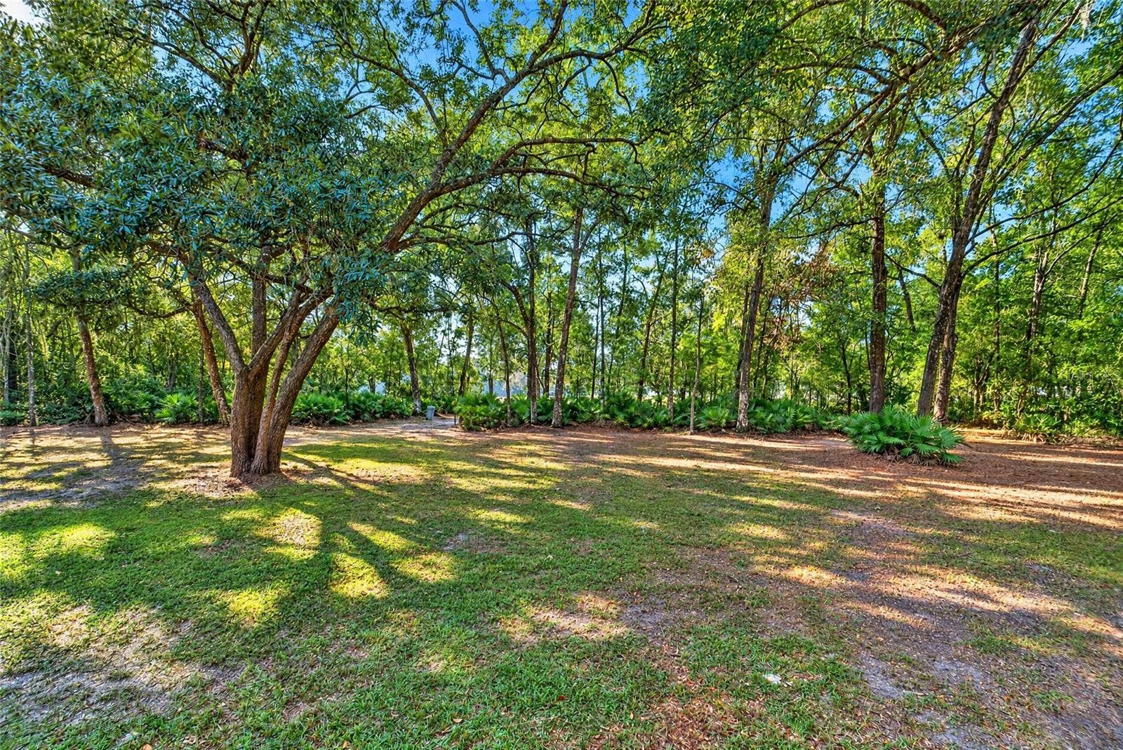 3495 NE 132ND PLACE, Anthony, FL 32617