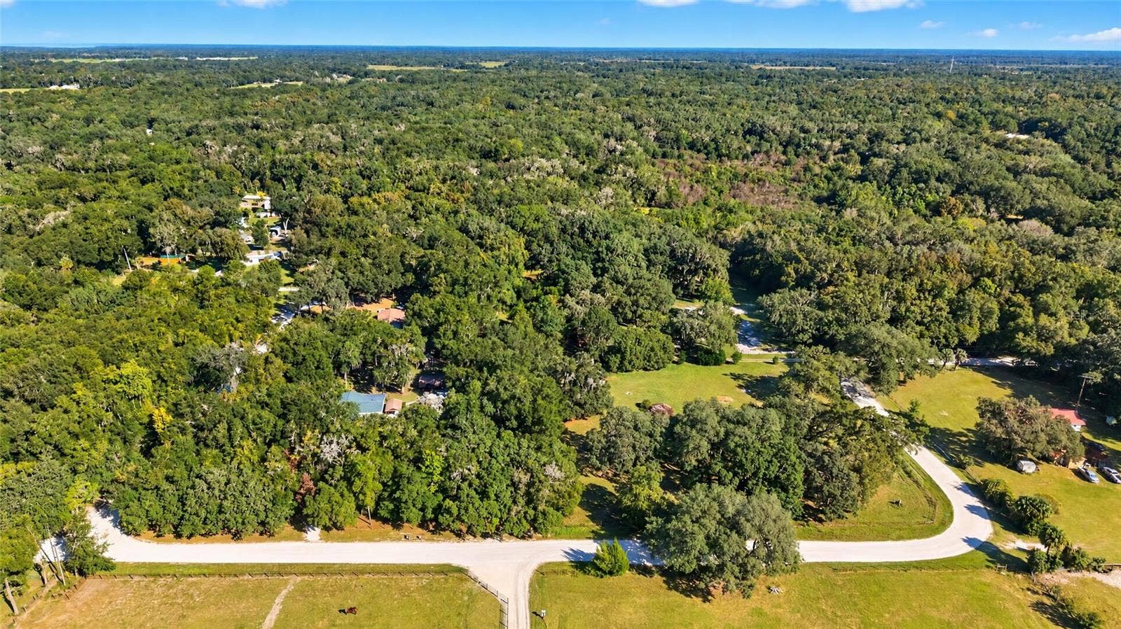 3495 NE 132ND PLACE, Anthony, FL 32617