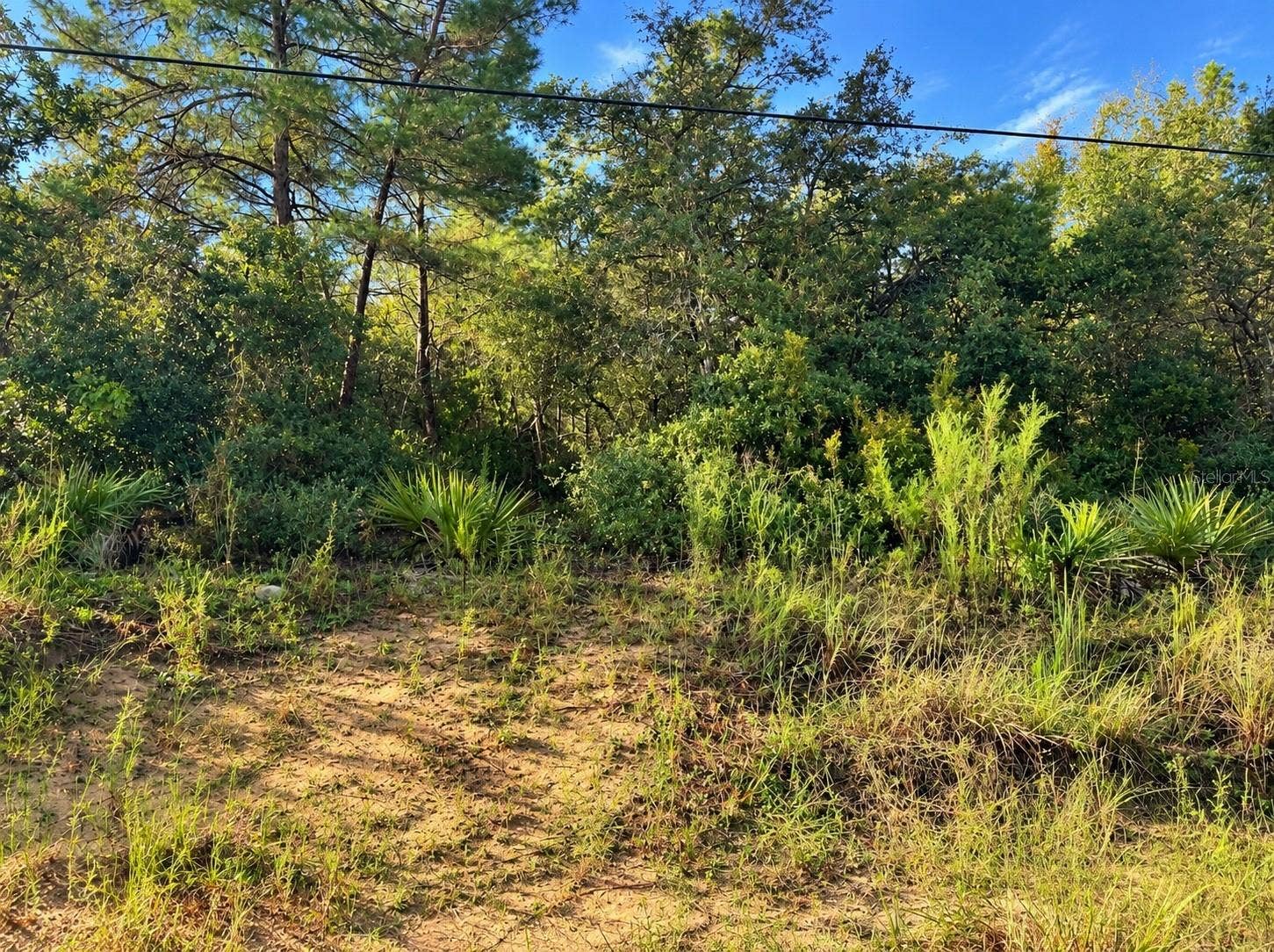 TBD NE 133RD STREET, Salt Springs, FL 32134 TBD NE 133RD STREET, Salt Springs, FL 32134