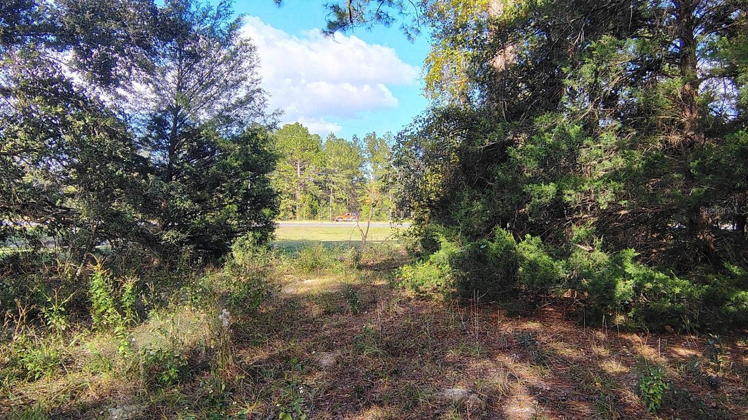 0000 NE HWY 27 ALT, Williston, FL 32696 0000 NE HWY 27 ALT, Williston, FL 32696