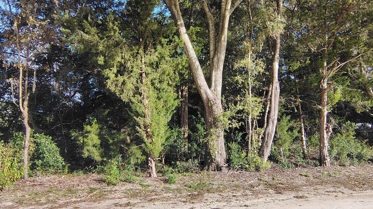 0000 NE HWY 27 ALT, Williston, FL 32696 0000 NE HWY 27 ALT, Williston, FL 32696