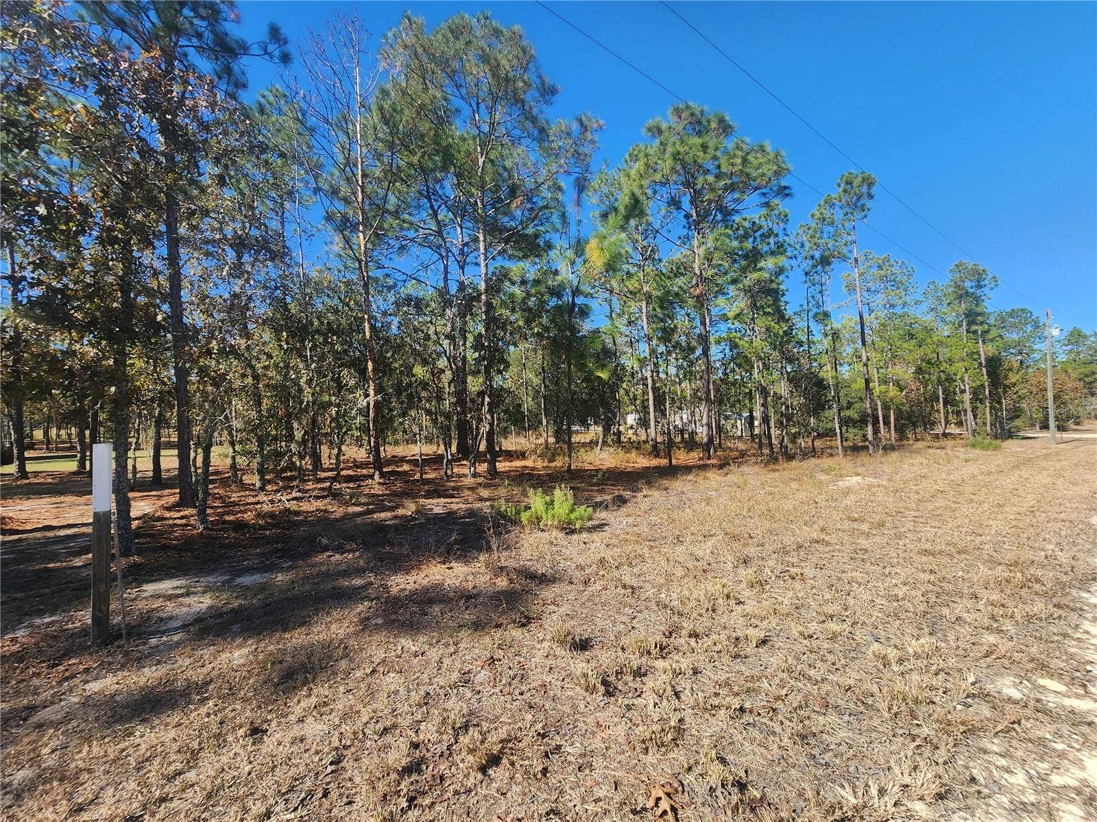 421 AVENIDA DEL SUR, Clewiston, FL 33440