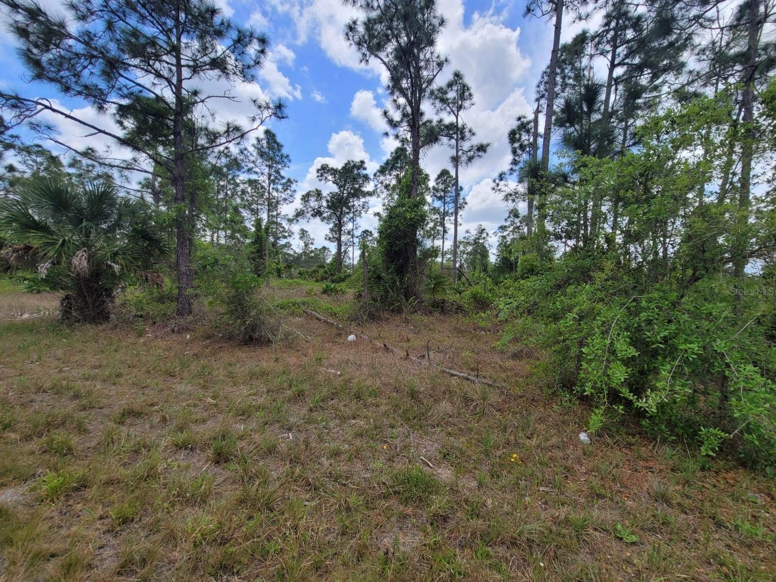 421 AVENIDA DEL SUR, Clewiston, FL 33440