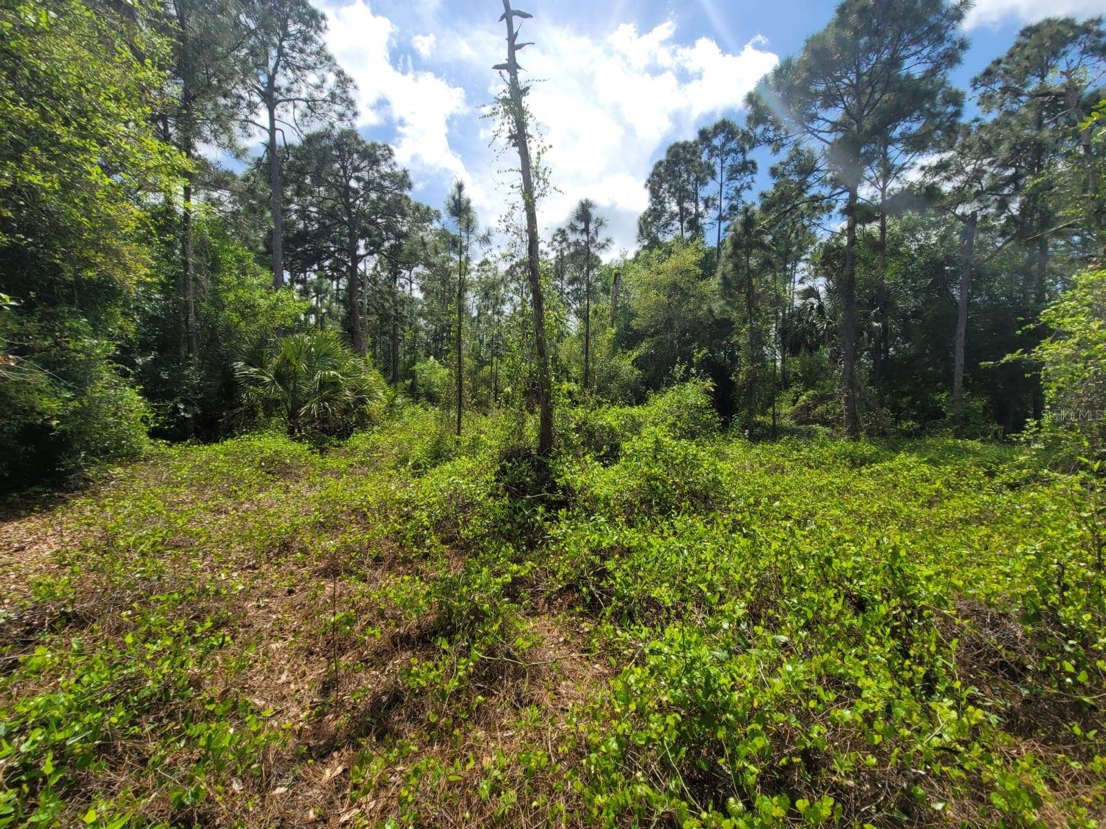 421 AVENIDA DEL SUR, Clewiston, FL 33440