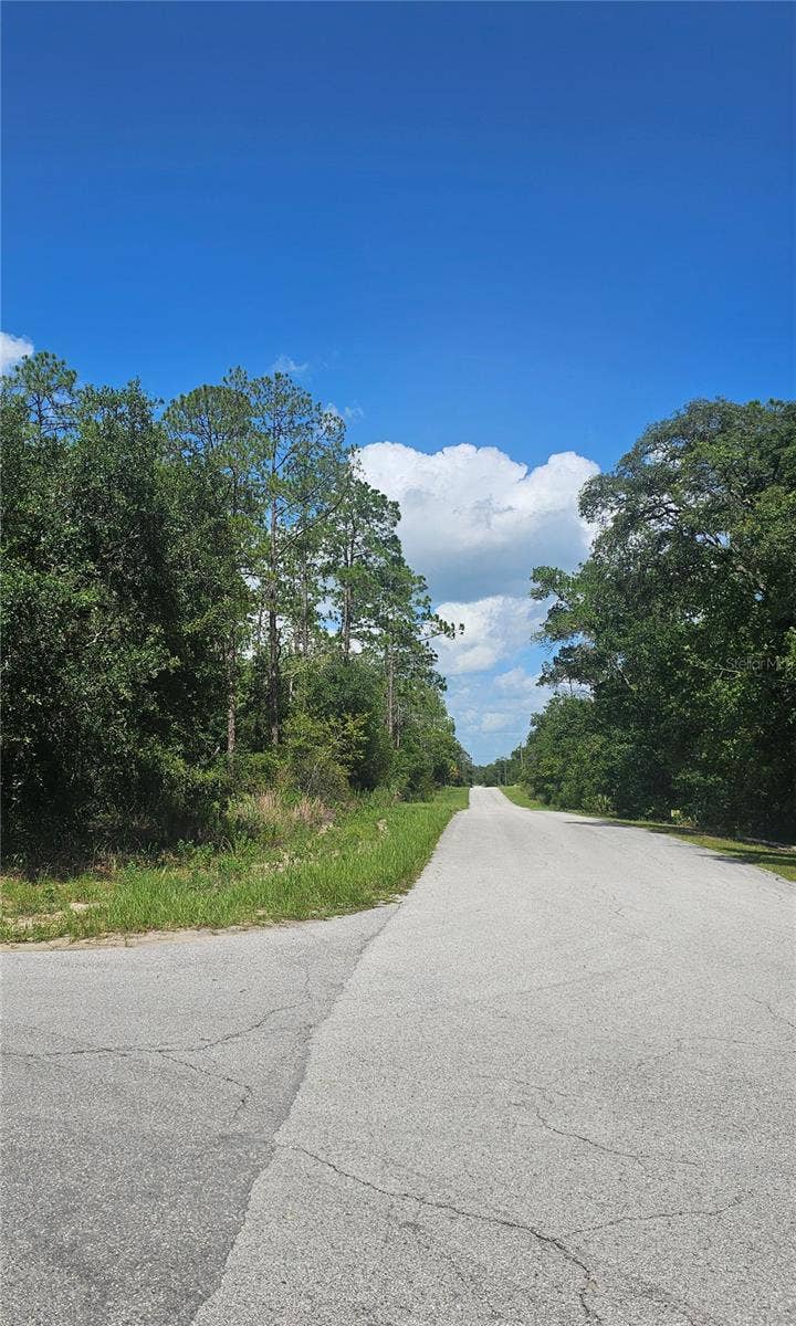 TBD SW ZINNIA COURT, Dunnellon, FL 34431 TBD SW ZINNIA COURT, Dunnellon, FL 34431