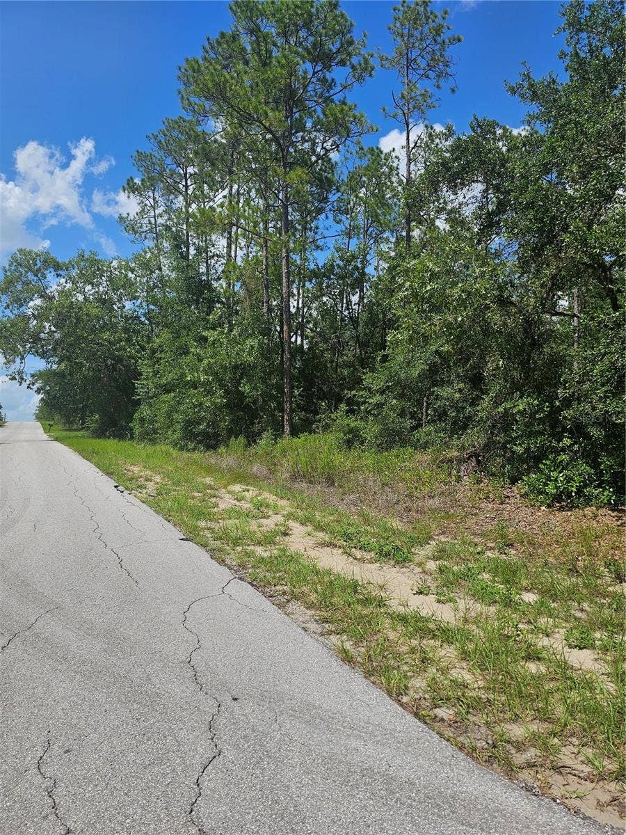 TBD SW ZINNIA COURT, Dunnellon, FL 34431 TBD SW ZINNIA COURT, Dunnellon, FL 34431