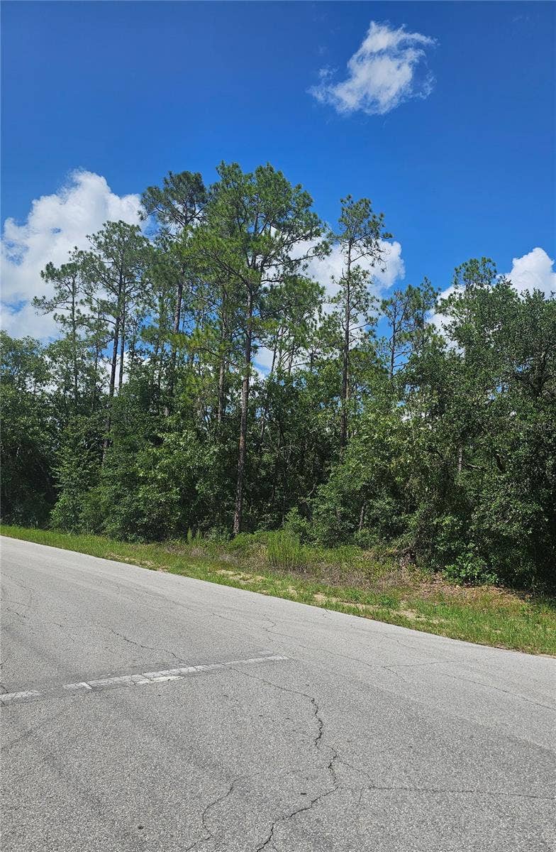 TBD SW ZINNIA COURT, Dunnellon, FL 34431 TBD SW ZINNIA COURT, Dunnellon, FL 34431