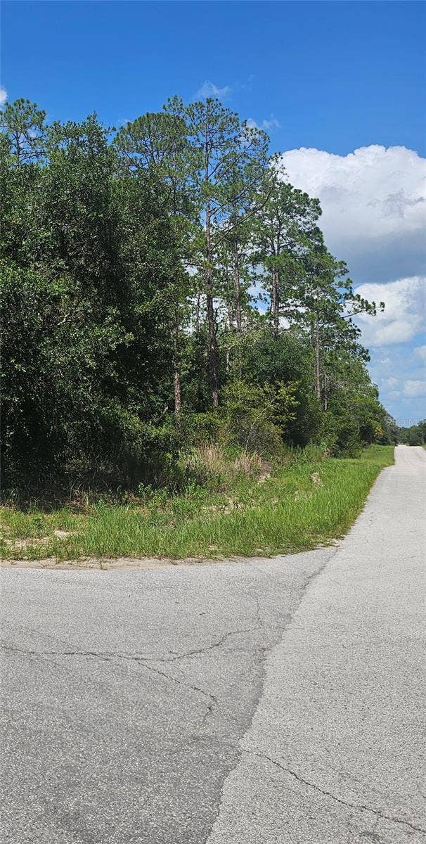 TBD SW ZINNIA COURT, Dunnellon, FL 34431 TBD SW ZINNIA COURT, Dunnellon, FL 34431