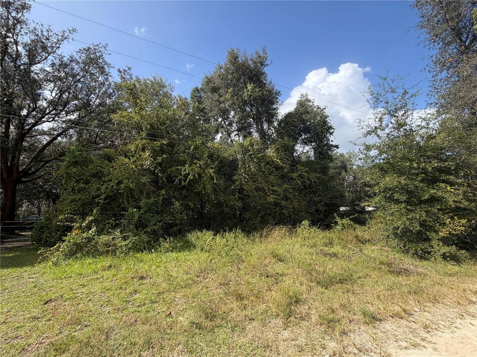 TBD NE 168 COURT, Silver Springs, FL 34488