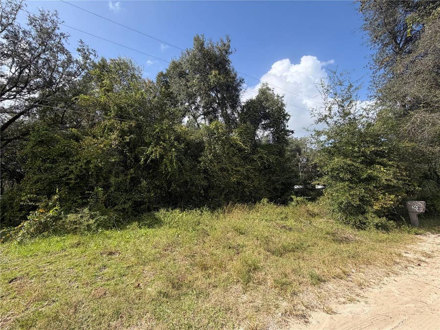Property photo for TBD NE 168 COURT, Silver Springs, FL