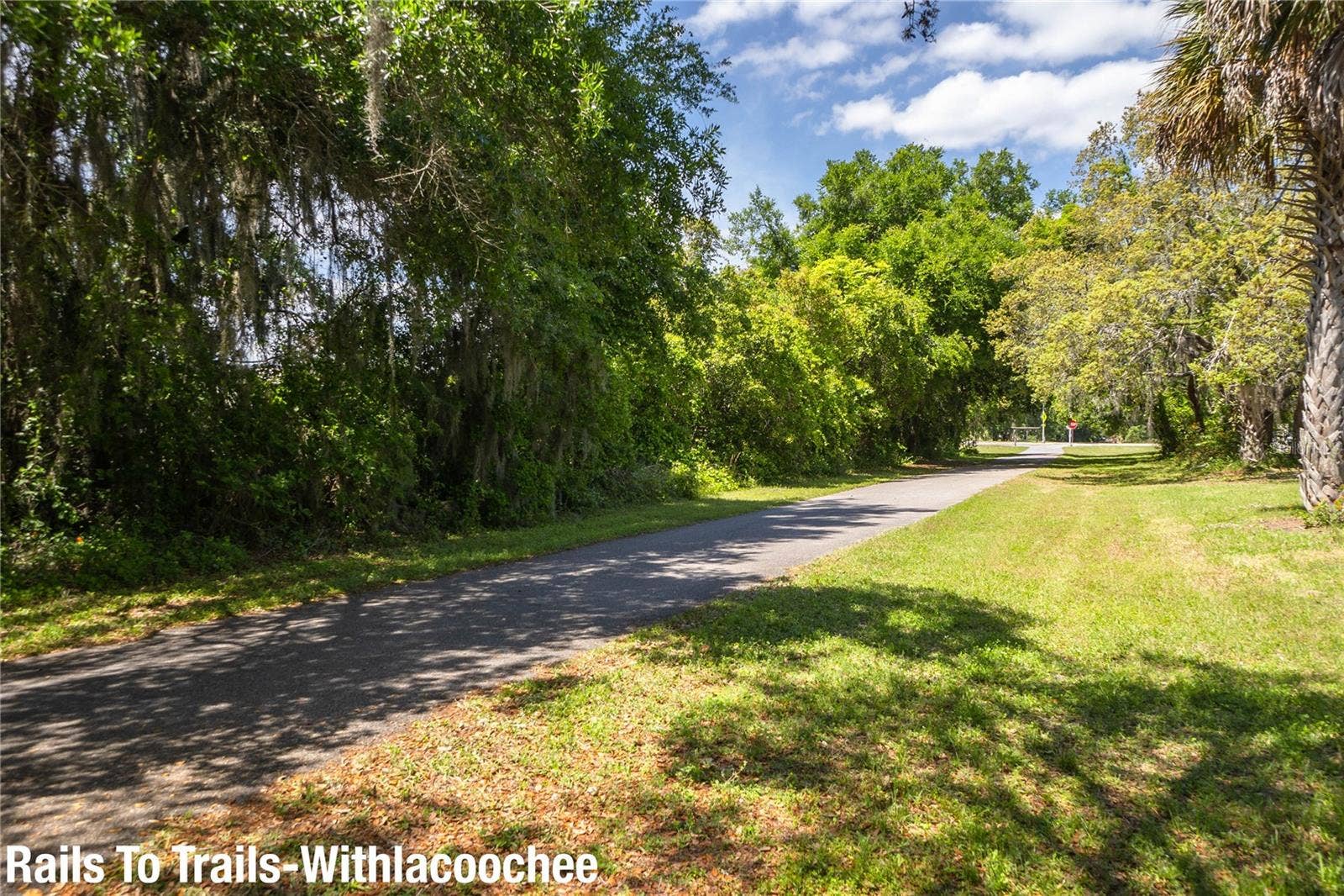 Rails to Trails
