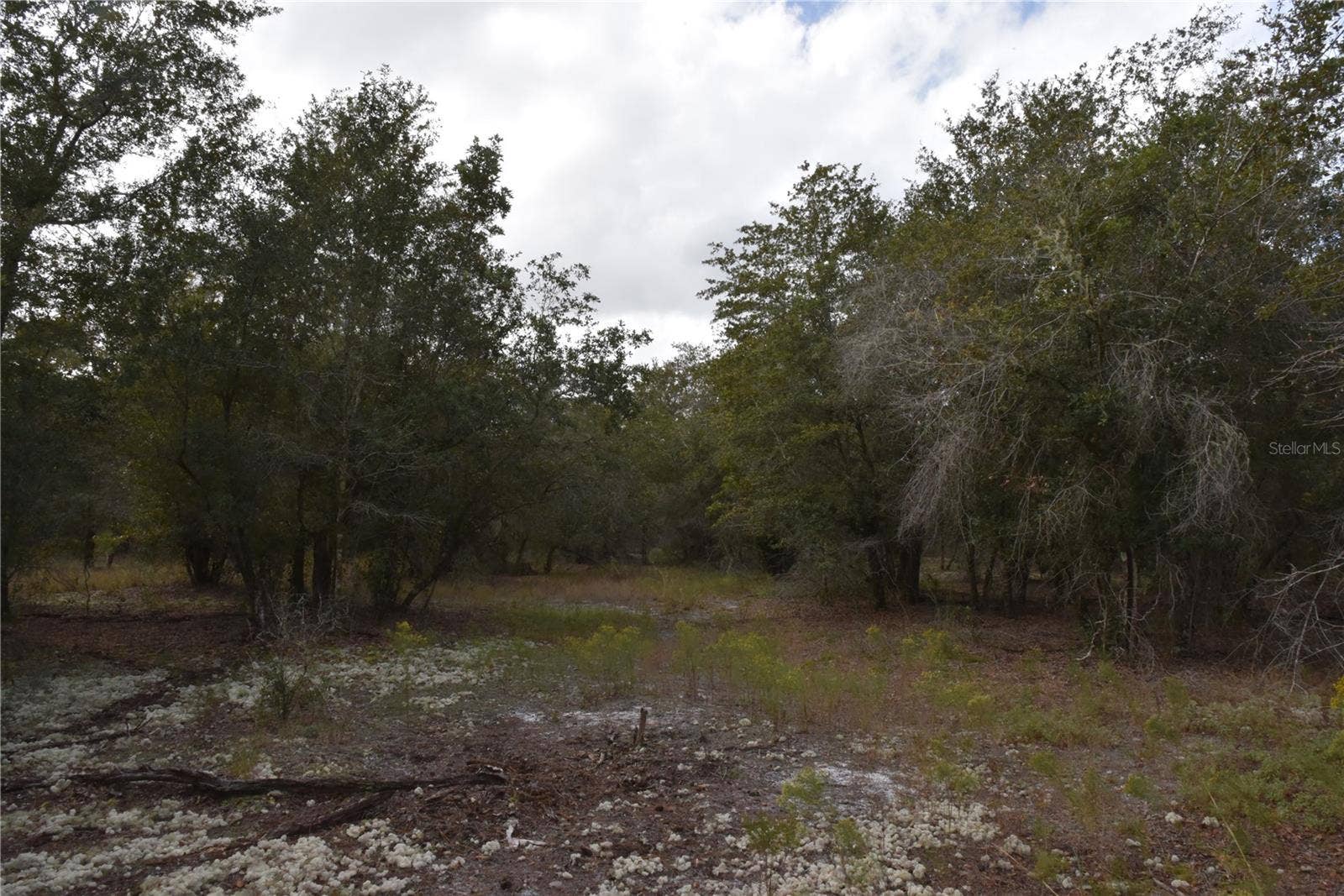 9150 SE US HIGHWAY 301, Hawthorne, FL 32640 9150 SE US HIGHWAY 301, Hawthorne, FL 32640