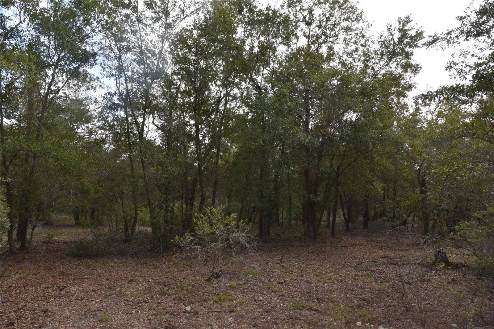 9150 SE US HIGHWAY 301, Hawthorne, FL 32640 9150 SE US HIGHWAY 301, Hawthorne, FL 32640