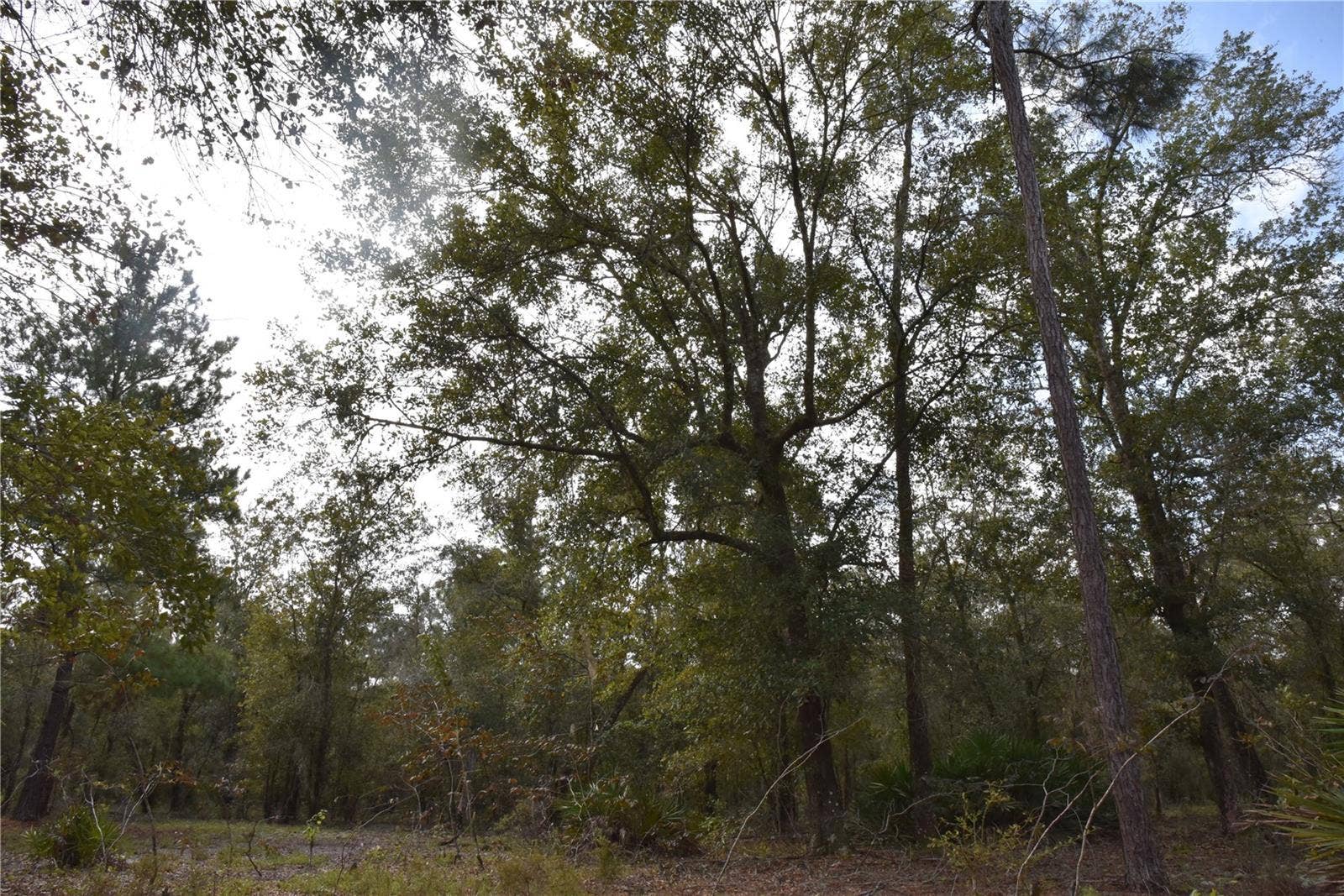 9150 SE US HIGHWAY 301, Hawthorne, FL 32640 9150 SE US HIGHWAY 301, Hawthorne, FL 32640