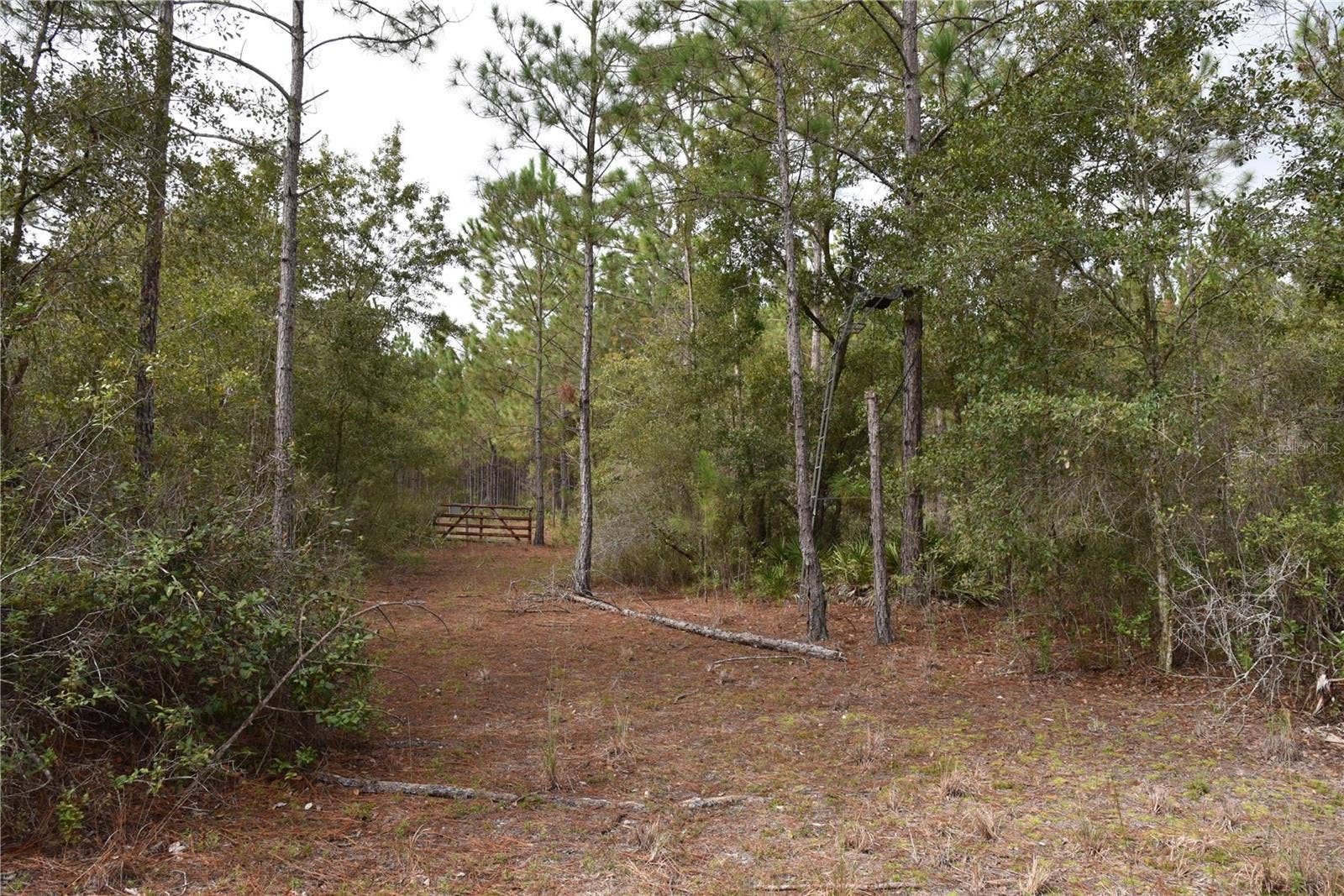 9150 SE US HIGHWAY 301, Hawthorne, FL 32640 9150 SE US HIGHWAY 301, Hawthorne, FL 32640