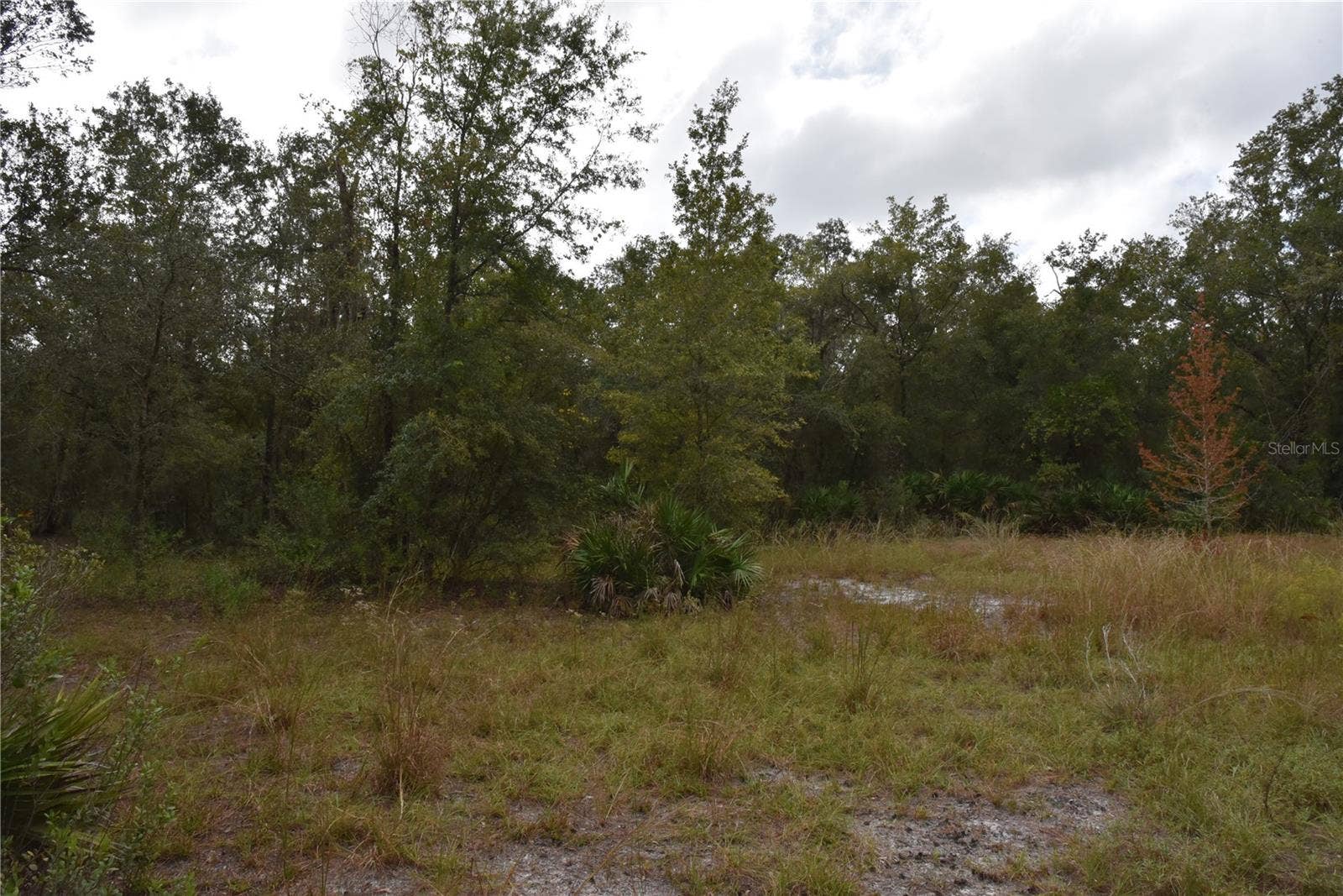 9150 SE US HIGHWAY 301, Hawthorne, FL 32640 9150 SE US HIGHWAY 301, Hawthorne, FL 32640