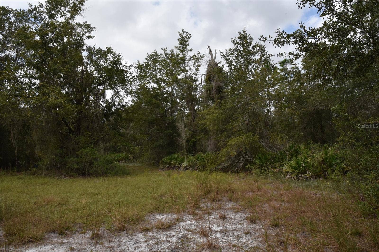 9150 SE US HIGHWAY 301, Hawthorne, FL 32640 9150 SE US HIGHWAY 301, Hawthorne, FL 32640