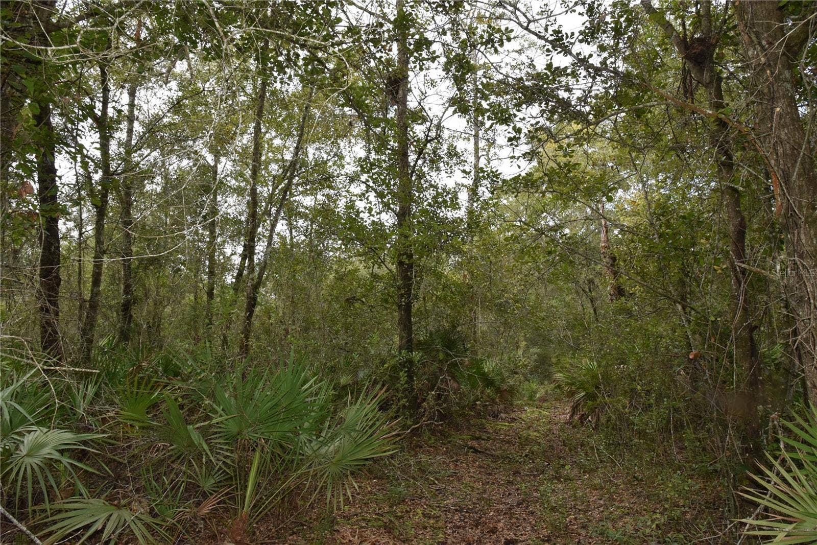 9150 SE US HIGHWAY 301, Hawthorne, FL 32640 9150 SE US HIGHWAY 301, Hawthorne, FL 32640