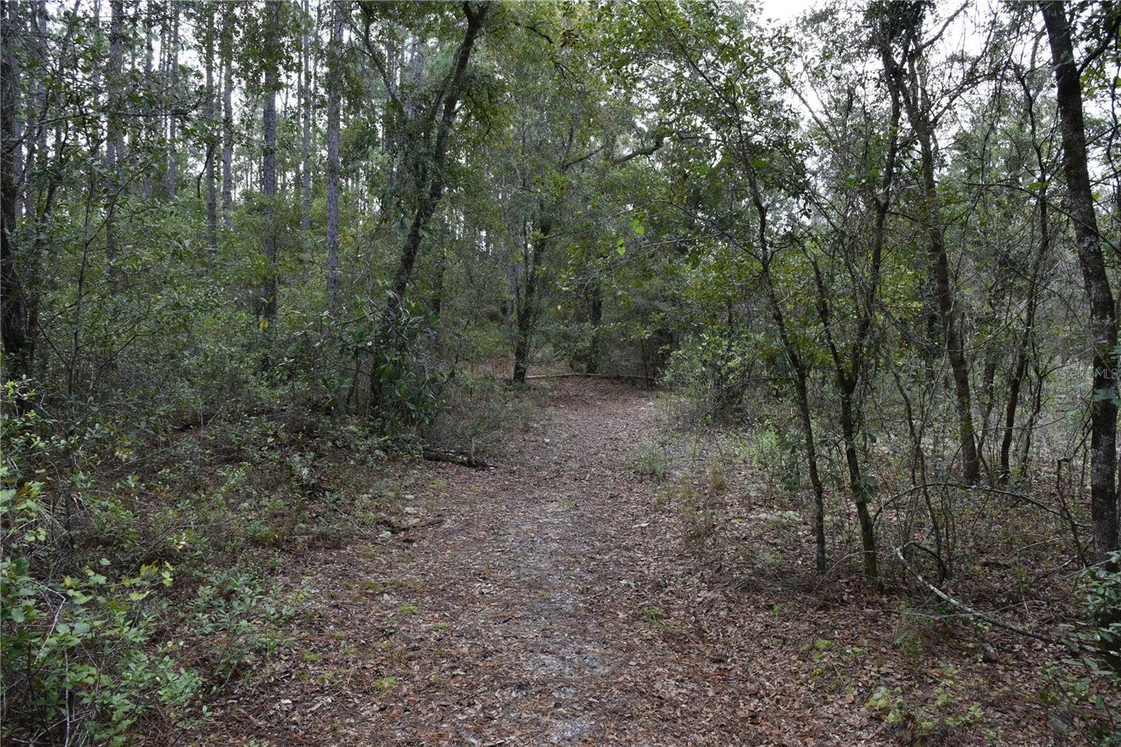 9150 SE US HIGHWAY 301, Hawthorne, FL 32640 9150 SE US HIGHWAY 301, Hawthorne, FL 32640