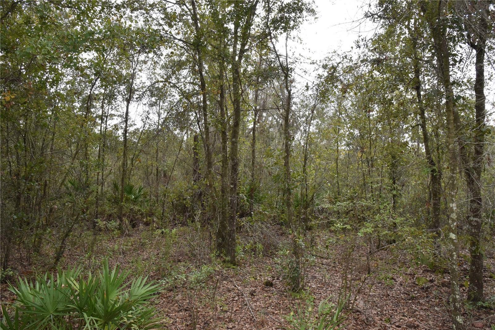 9150 SE US HIGHWAY 301, Hawthorne, FL 32640 9150 SE US HIGHWAY 301, Hawthorne, FL 32640