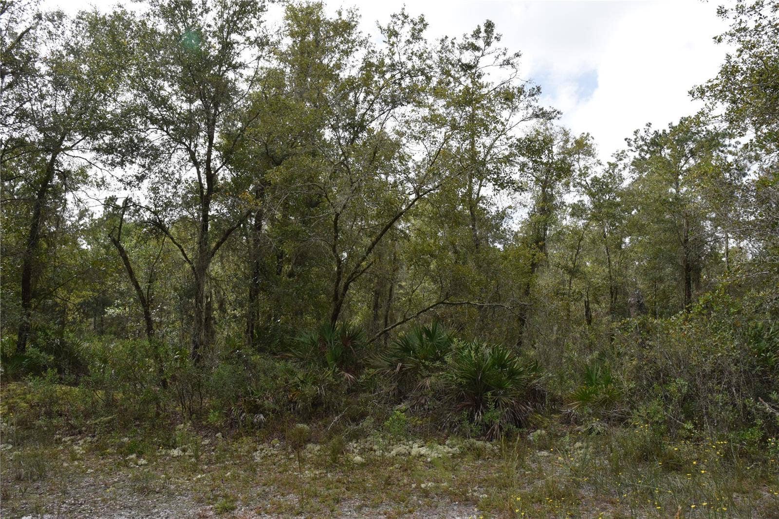9150 SE US HIGHWAY 301, Hawthorne, FL 32640 9150 SE US HIGHWAY 301, Hawthorne, FL 32640