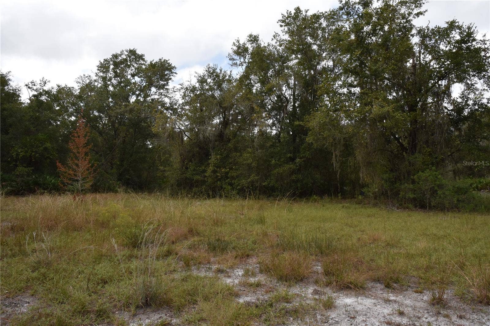 9150 SE US HIGHWAY 301, Hawthorne, FL 32640 9150 SE US HIGHWAY 301, Hawthorne, FL 32640