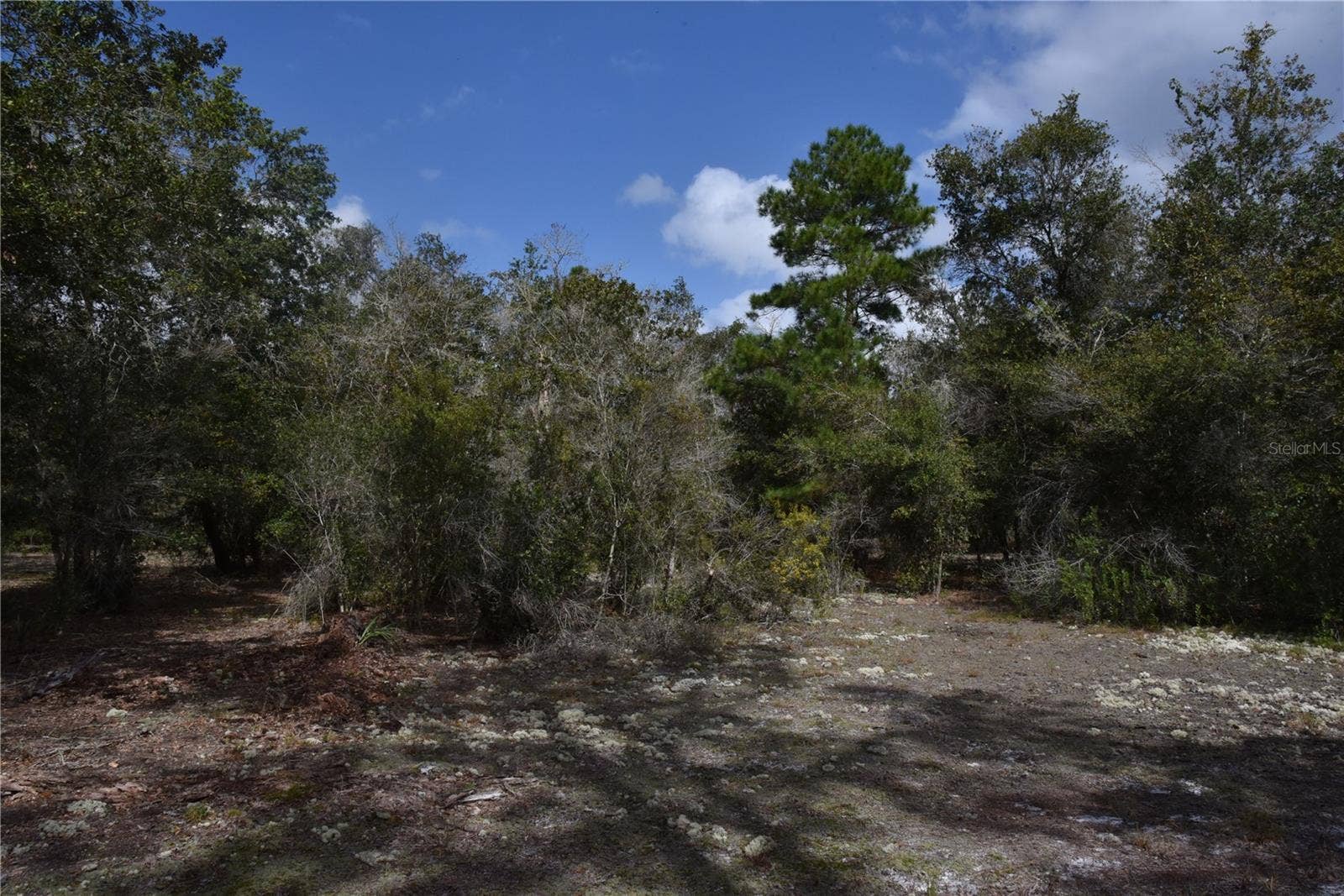 9150 SE US HIGHWAY 301, Hawthorne, FL 32640 9150 SE US HIGHWAY 301, Hawthorne, FL 32640