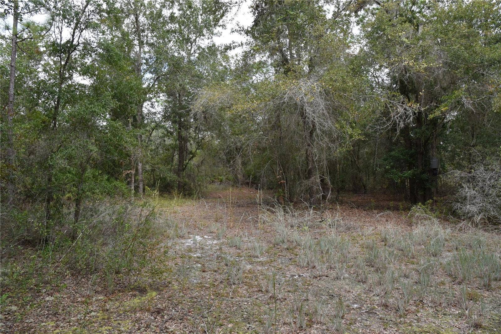 9150 SE US HIGHWAY 301, Hawthorne, FL 32640 9150 SE US HIGHWAY 301, Hawthorne, FL 32640