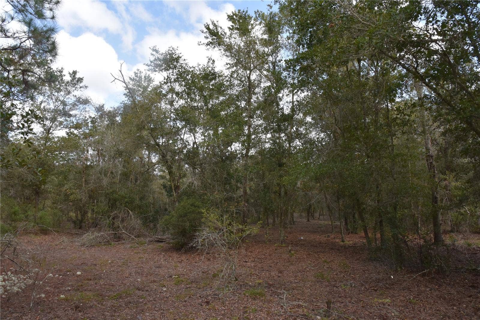 9150 SE US HIGHWAY 301, Hawthorne, FL 32640 9150 SE US HIGHWAY 301, Hawthorne, FL 32640