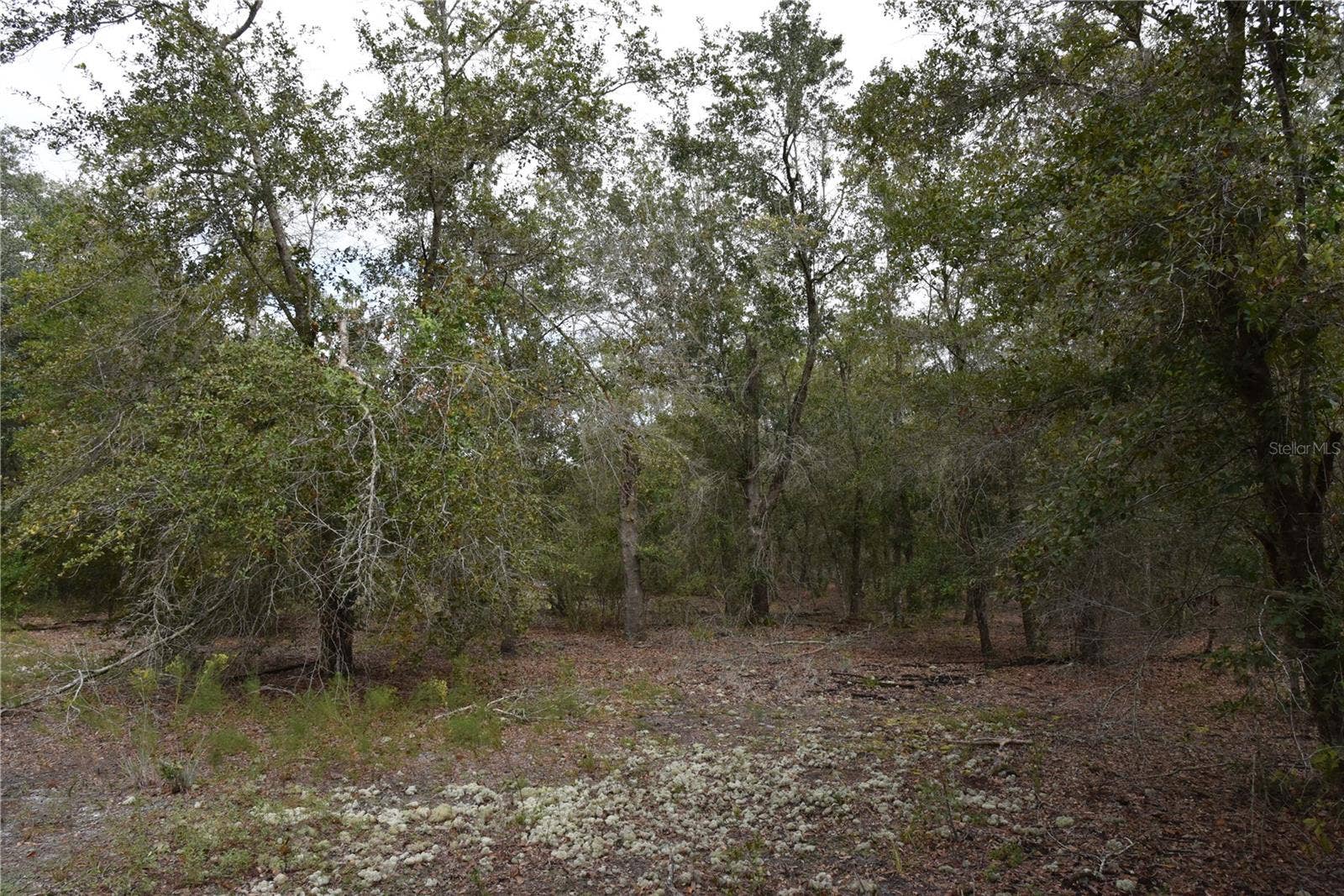9150 SE US HIGHWAY 301, Hawthorne, FL 32640 9150 SE US HIGHWAY 301, Hawthorne, FL 32640