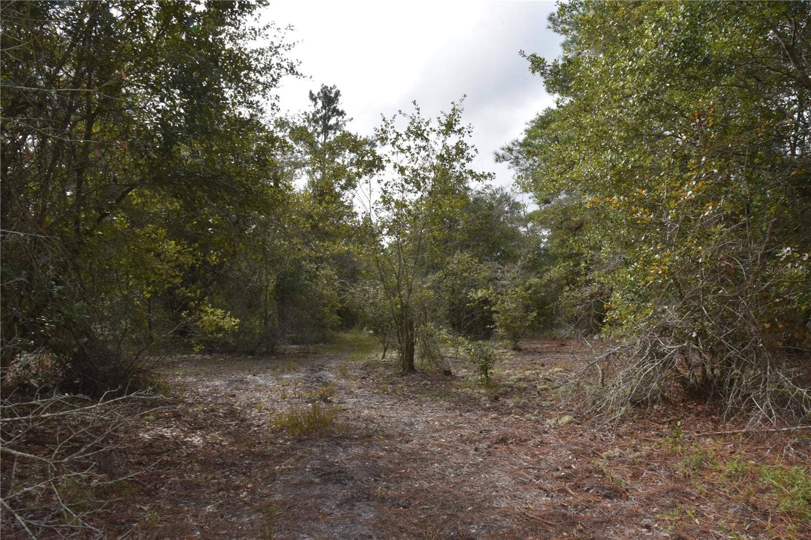 9150 SE US HIGHWAY 301, Hawthorne, FL 32640 9150 SE US HIGHWAY 301, Hawthorne, FL 32640