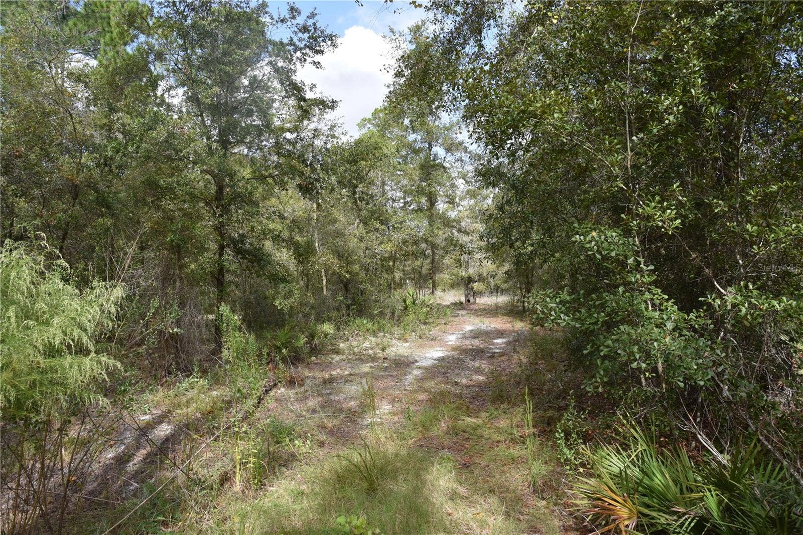9150 SE US HIGHWAY 301, Hawthorne, FL 32640 9150 SE US HIGHWAY 301, Hawthorne, FL 32640