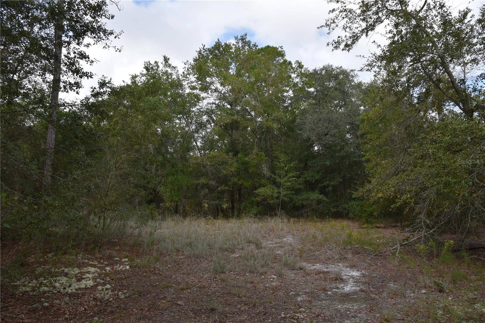 9150 SE US HIGHWAY 301, Hawthorne, FL 32640 9150 SE US HIGHWAY 301, Hawthorne, FL 32640