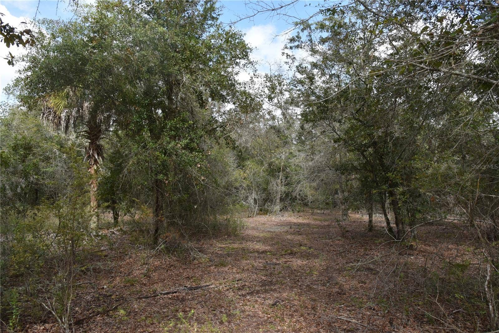 9150 SE US HIGHWAY 301, Hawthorne, FL 32640 9150 SE US HIGHWAY 301, Hawthorne, FL 32640
