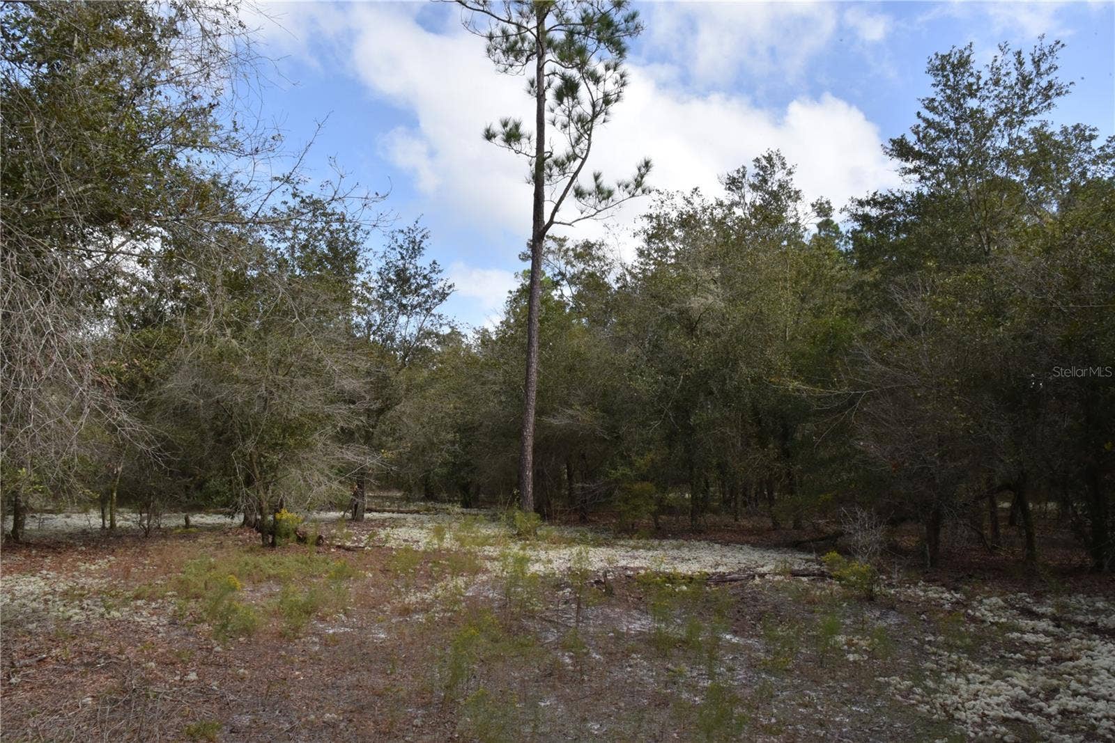 9150 SE US HIGHWAY 301, Hawthorne, FL 32640 9150 SE US HIGHWAY 301, Hawthorne, FL 32640