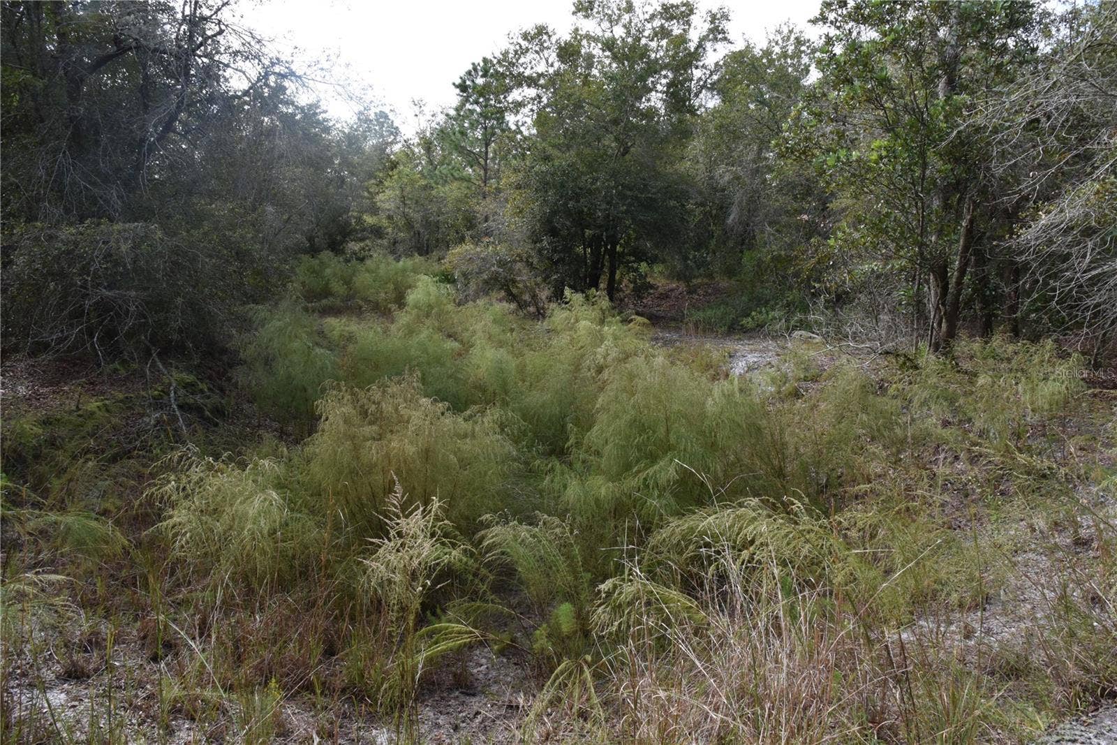 9150 SE US HIGHWAY 301, Hawthorne, FL 32640 9150 SE US HIGHWAY 301, Hawthorne, FL 32640