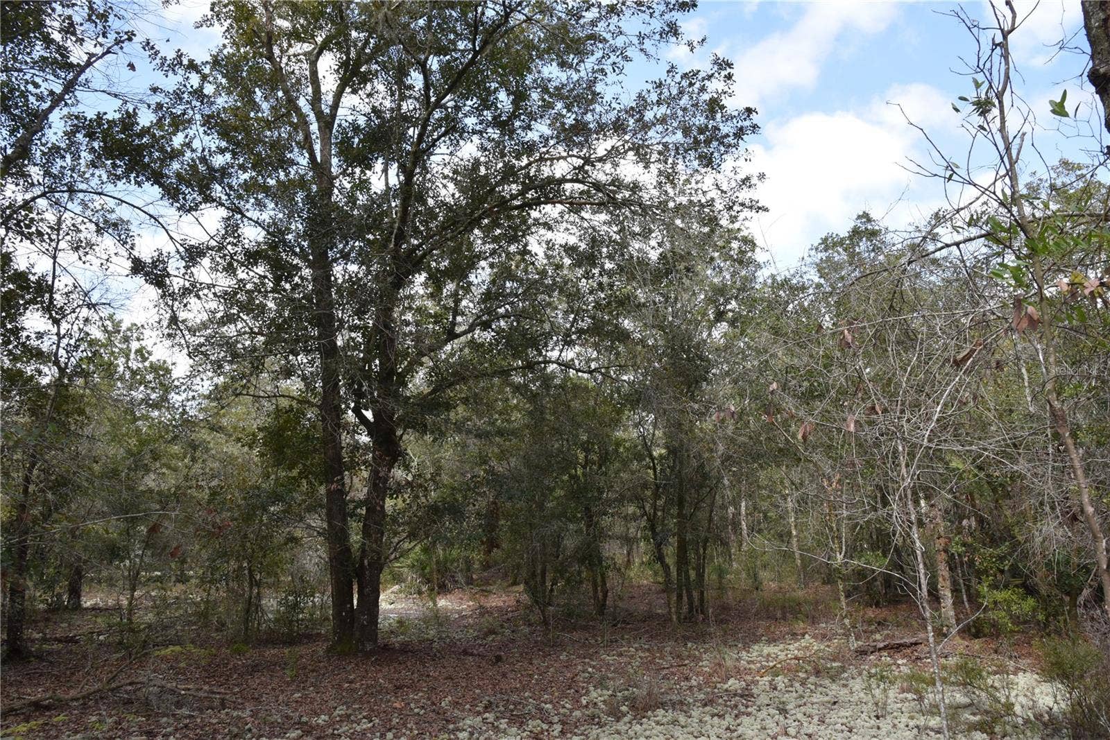 9150 SE US HIGHWAY 301, Hawthorne, FL 32640 9150 SE US HIGHWAY 301, Hawthorne, FL 32640