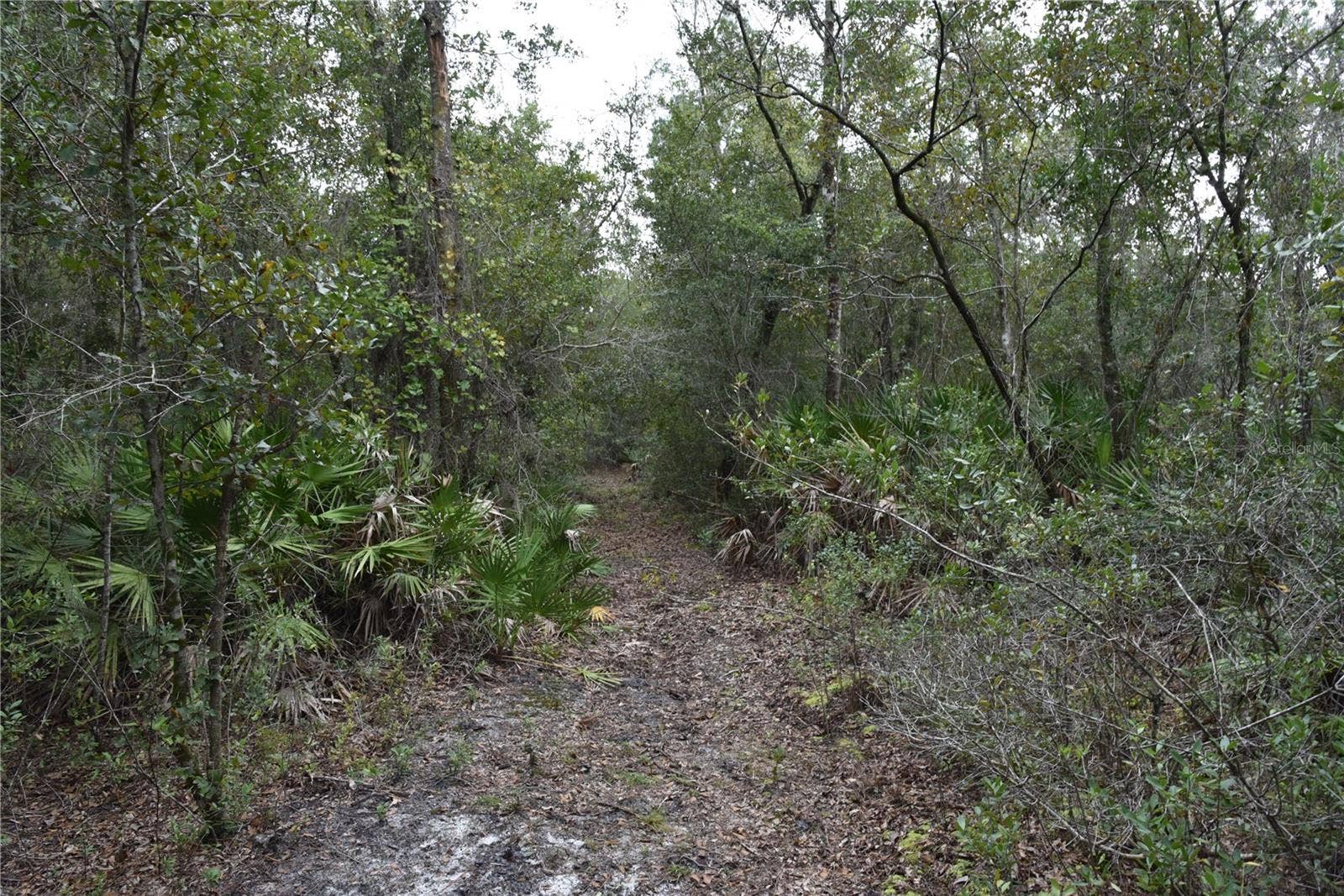 9150 SE US HIGHWAY 301, Hawthorne, FL 32640 9150 SE US HIGHWAY 301, Hawthorne, FL 32640