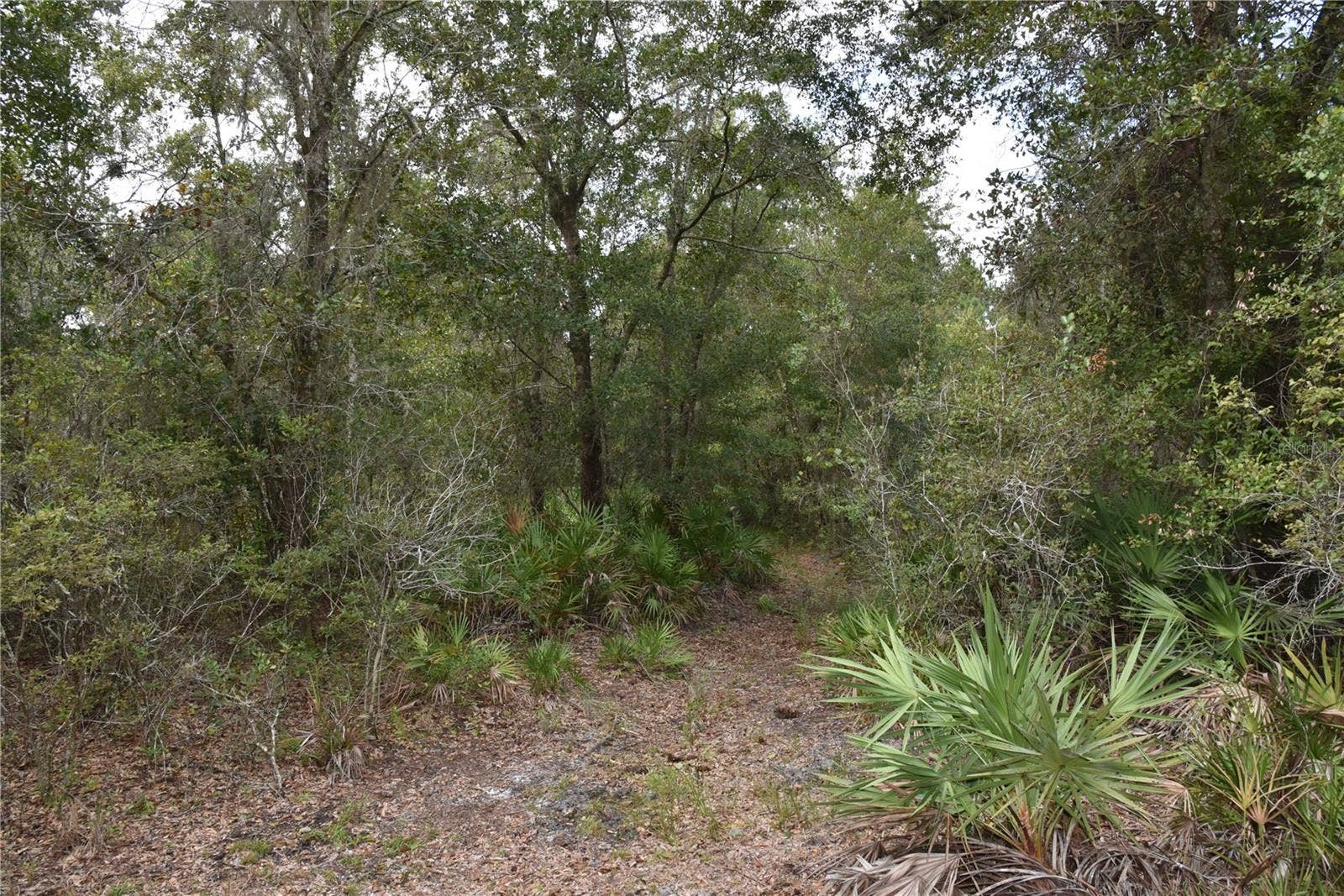 9150 SE US HIGHWAY 301, Hawthorne, FL 32640 9150 SE US HIGHWAY 301, Hawthorne, FL 32640