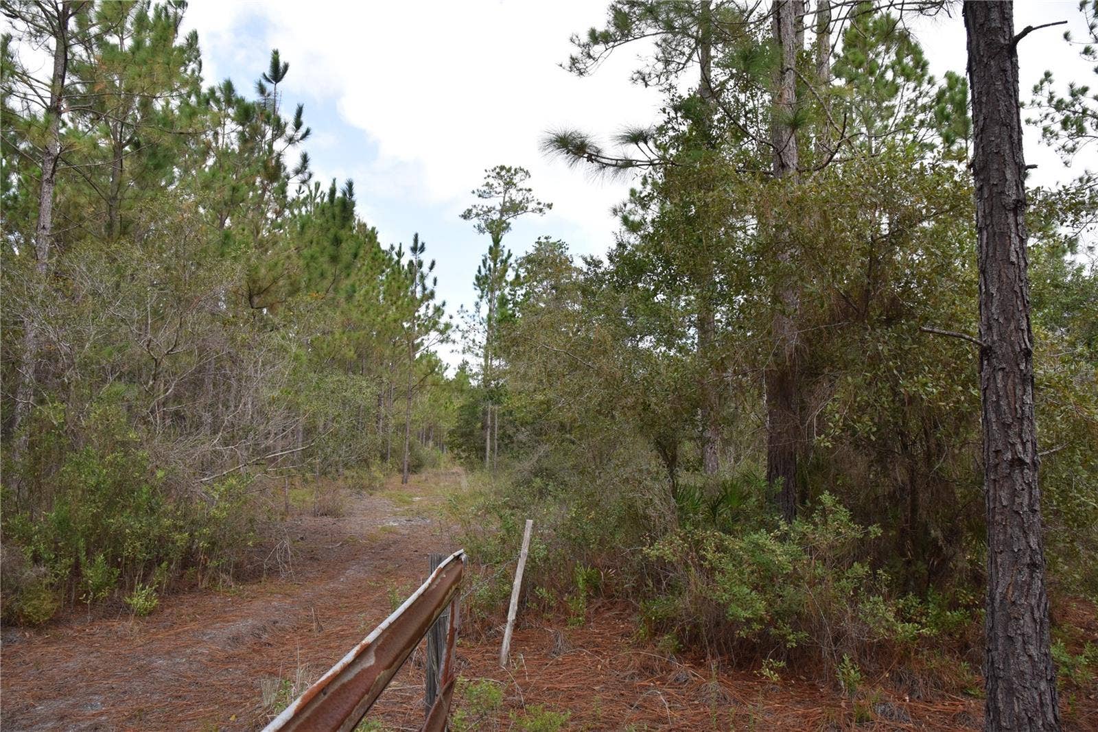 9150 SE US HIGHWAY 301, Hawthorne, FL 32640 9150 SE US HIGHWAY 301, Hawthorne, FL 32640