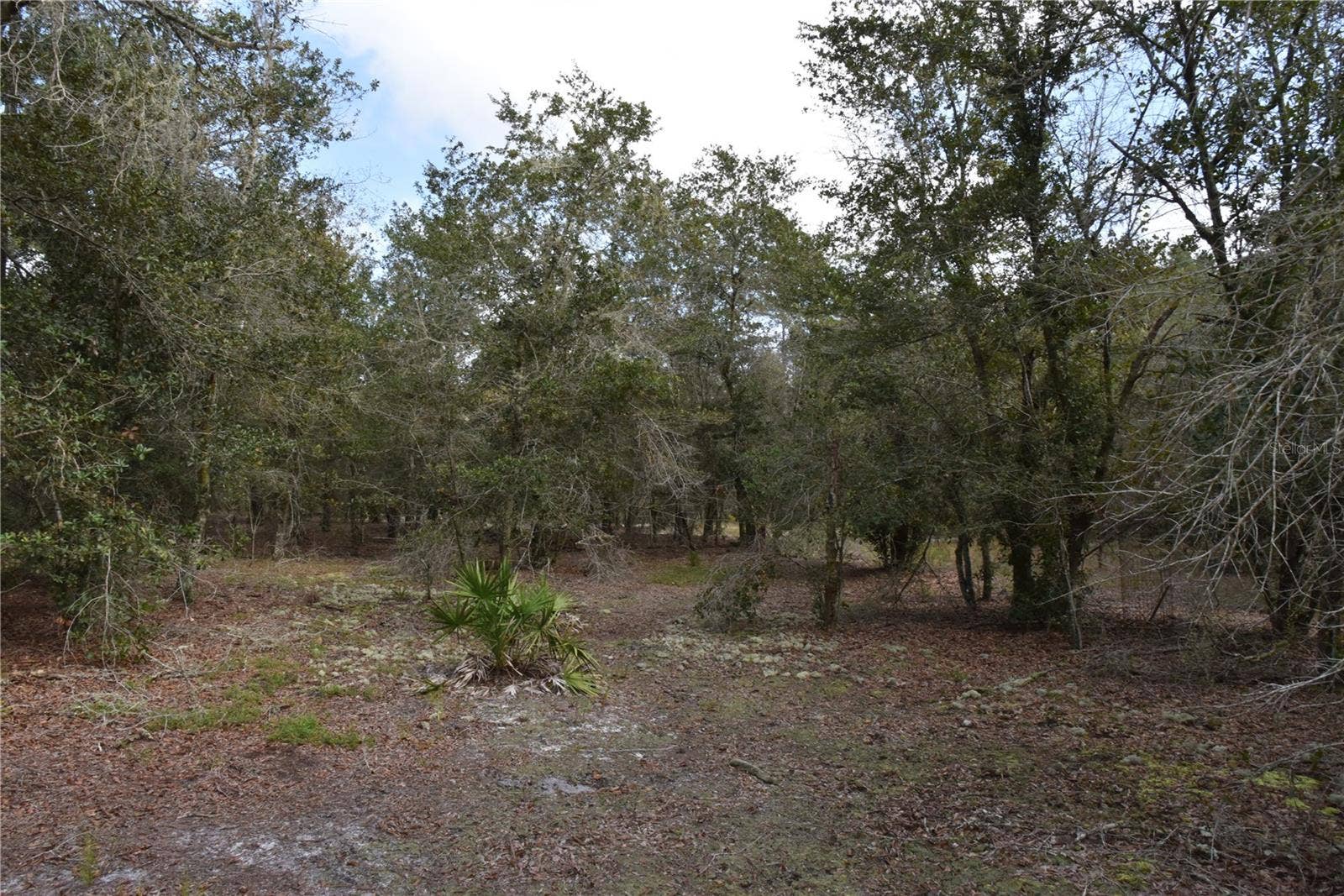 9150 SE US HIGHWAY 301, Hawthorne, FL 32640 9150 SE US HIGHWAY 301, Hawthorne, FL 32640