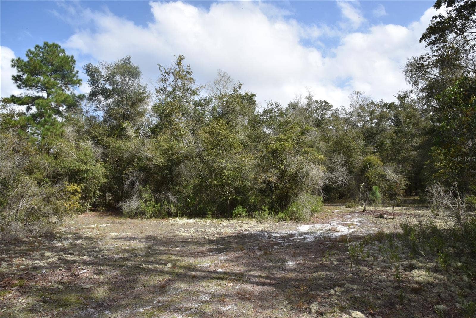 9150 SE US HIGHWAY 301, Hawthorne, FL 32640 9150 SE US HIGHWAY 301, Hawthorne, FL 32640