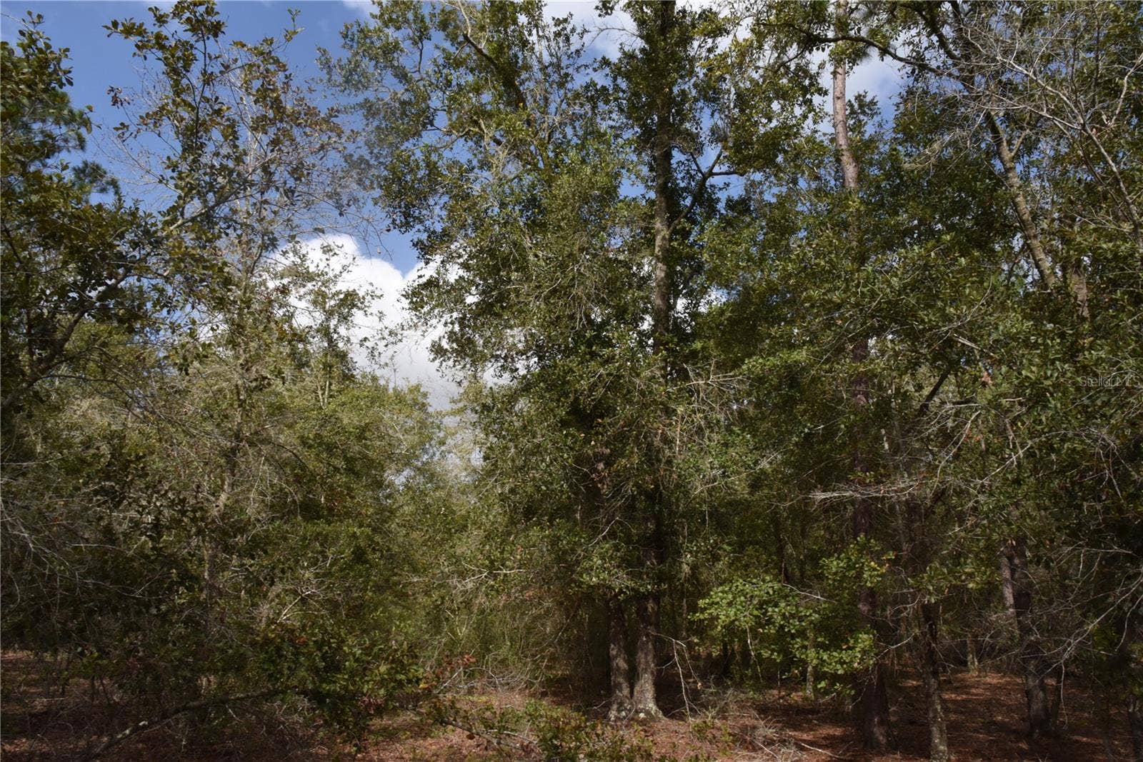 9150 SE US HIGHWAY 301, Hawthorne, FL 32640 9150 SE US HIGHWAY 301, Hawthorne, FL 32640