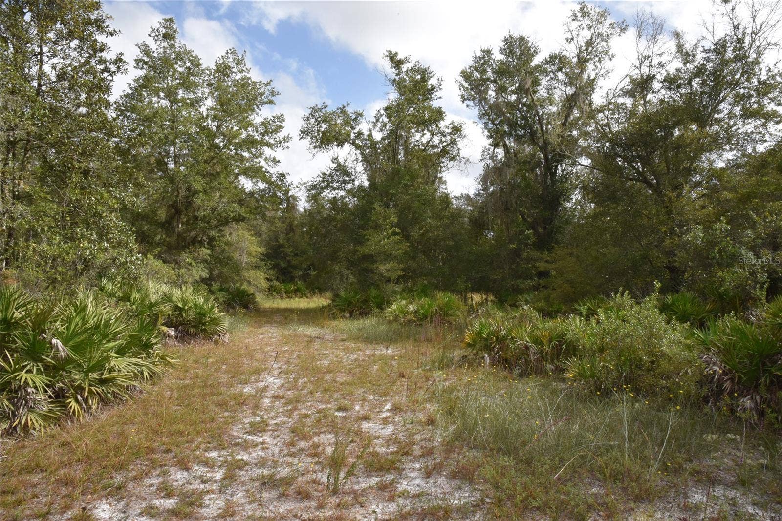 9150 SE US HIGHWAY 301, Hawthorne, FL 32640 9150 SE US HIGHWAY 301, Hawthorne, FL 32640