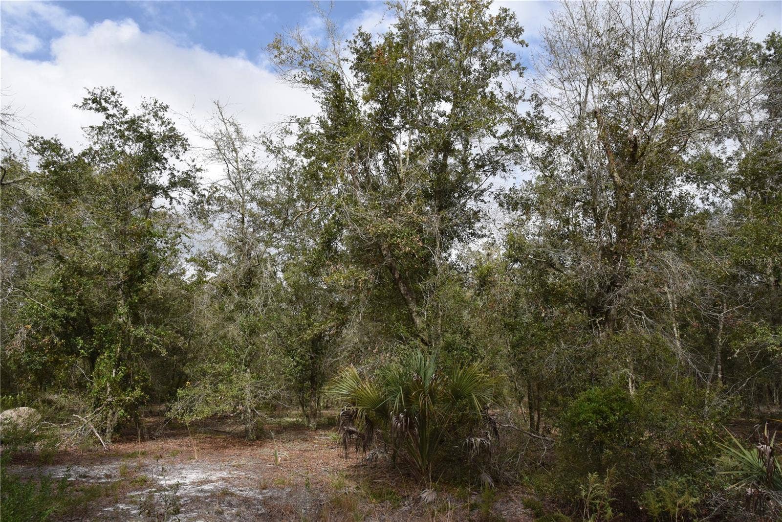 9150 SE US HIGHWAY 301, Hawthorne, FL 32640 9150 SE US HIGHWAY 301, Hawthorne, FL 32640